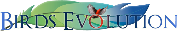 Birds Evolution